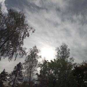 IMG_20221106_120651