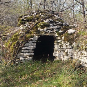 20241104_153556